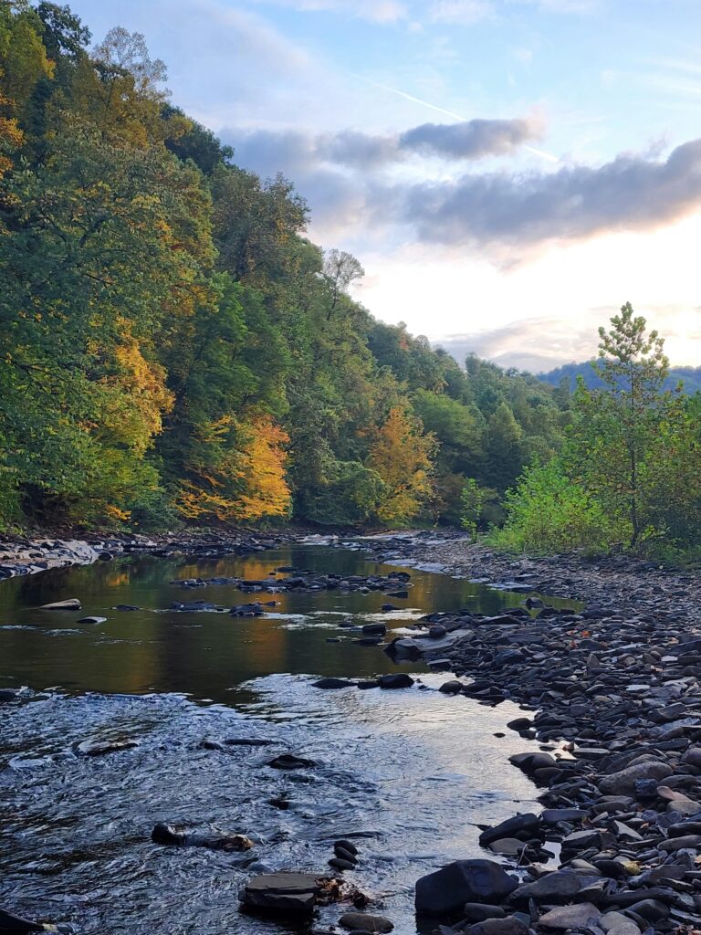 Serene river flowing through lush forest during autumn, under a blue sky.